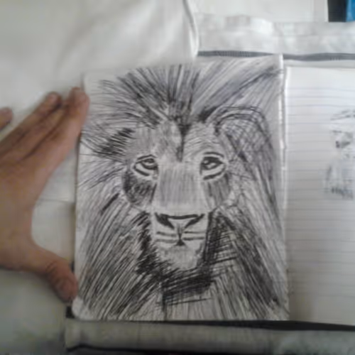 Lion 