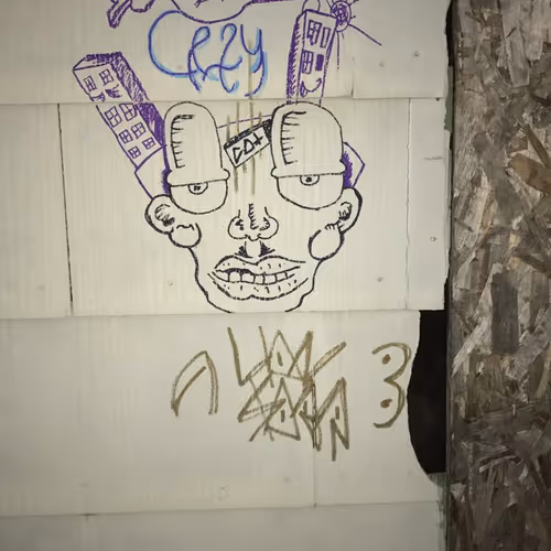 Artist Name: LionSoar + CELL - old