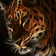Lion Tiger