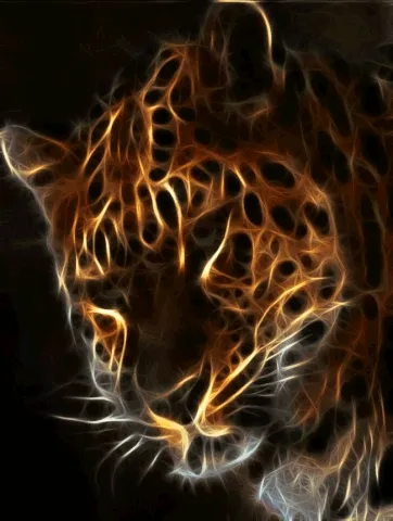 Lion Tiger
