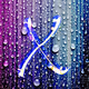 Liquid X