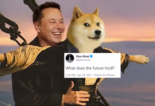 Liquidated on Doge