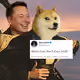 Liquidated on Doge
