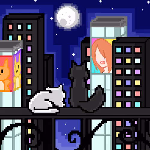 little meow looking at the view