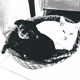 8308069206043561091635256708173746585572942716653757793765899213552928948225