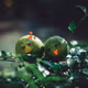 Little Green - old
