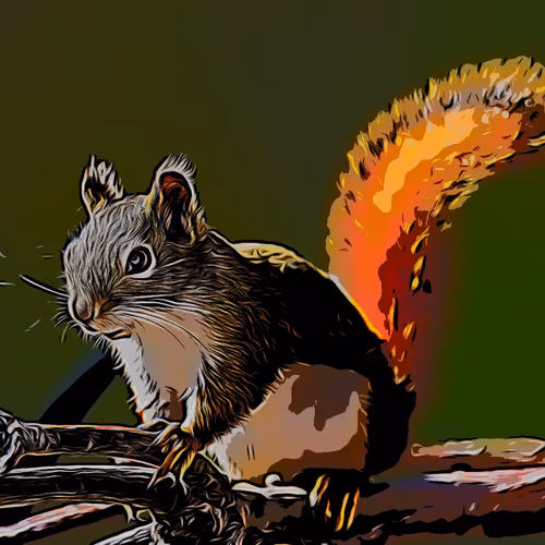LittleSquirrels