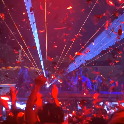 Live Music & Festivals