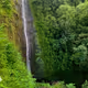 Lucky We Live Hawaii