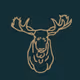 Living In The Wild - old