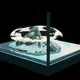 Living Worlds V2