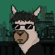 Llama leaks - old