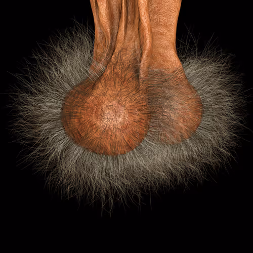 load of bollox - old