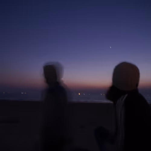 lofi beach collection | nft
