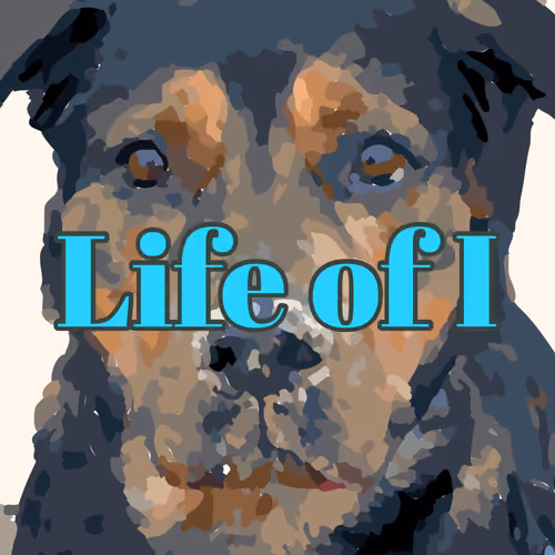 LOI - Life of I
