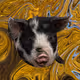 Loki Loco