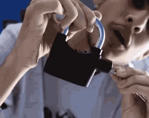 lolimadedis Collection