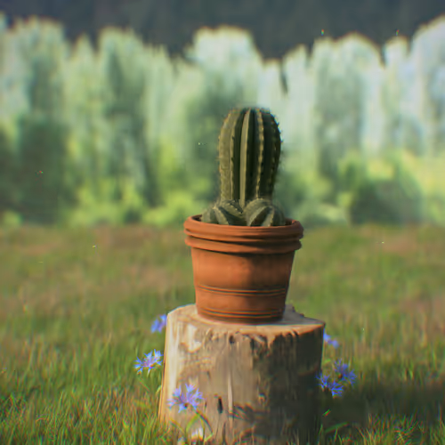 Lonely Cactus Want's Home, To Struggle - old