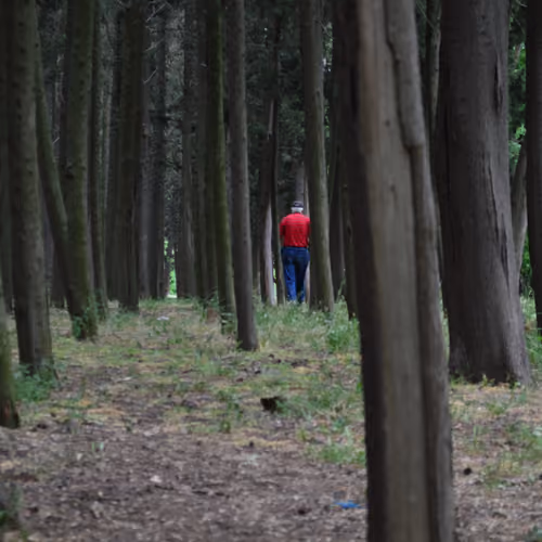 Lonely Men