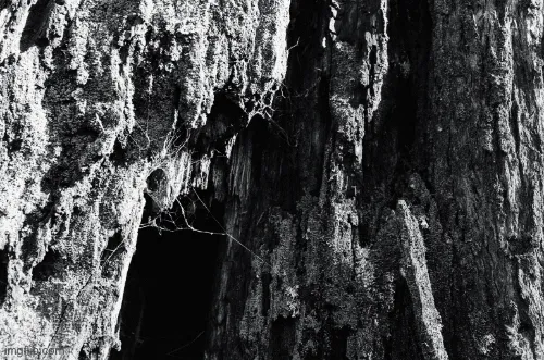 Look Closer - Exposure