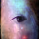 looking isn't seeing - old V4