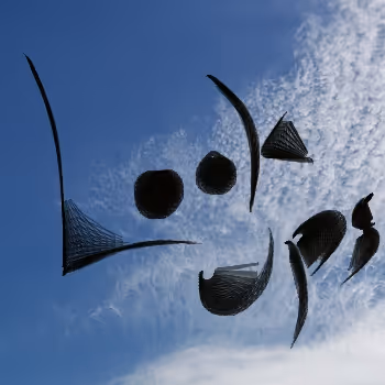 Look Ups