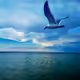 Lost in Aegean