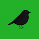Lost Robins