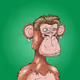 LOST WEARY APE