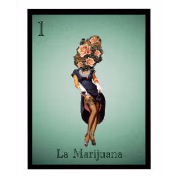 Loteria de Marijuana