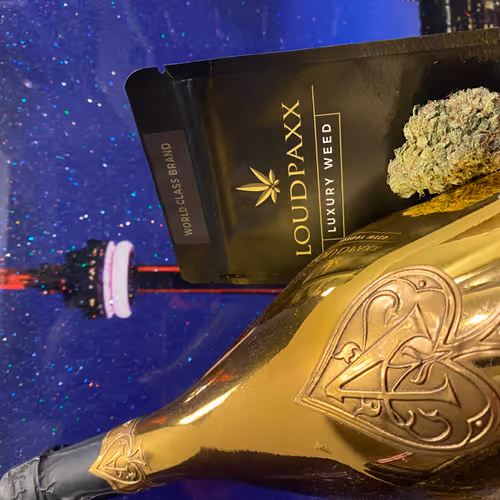 LoudPaxx