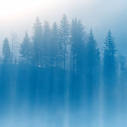 love for the nature - old