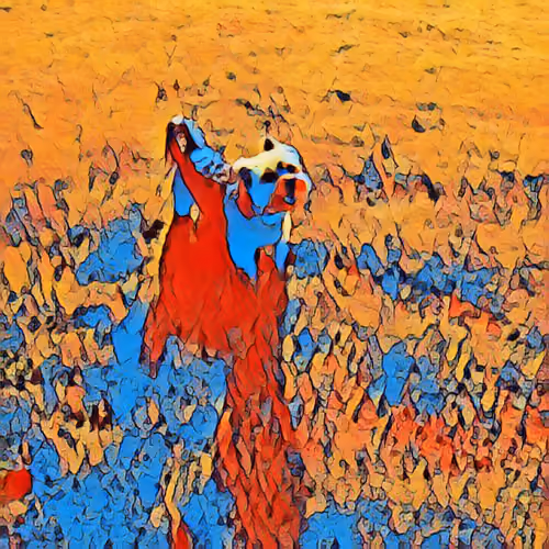Love in color