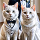 Love in Feline Kingdom