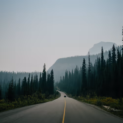 LOVE THE NATURE-LIMITED EDITION BY MHQ