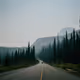 LOVE THE NATURE-LIMITED EDITION BY MHQ