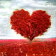 Love Collection AI