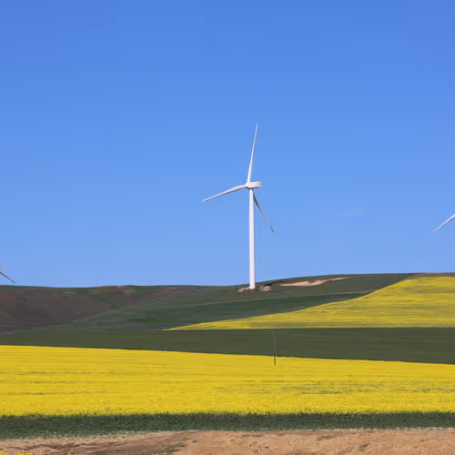 Lovemore's Photography