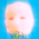 Low-res_480p