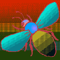 LSD Bee - old
