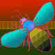 LSD Bee - old