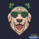Luck of The Irish Collection - old