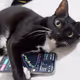 Lucky Bitcoin Trade