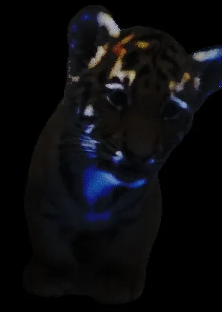 LuckyBabyTiger - old