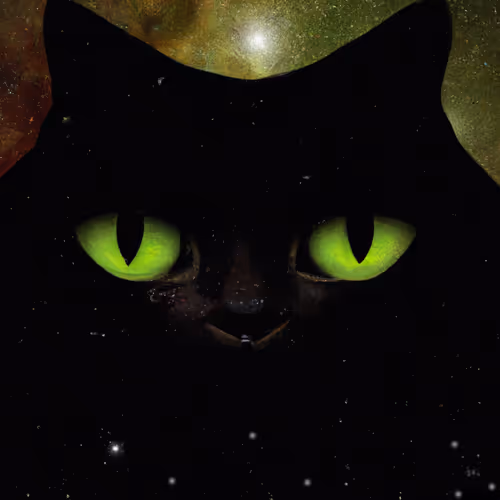 LUCKYCHARM CAT