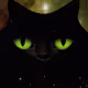 LUCKYCHARM CAT