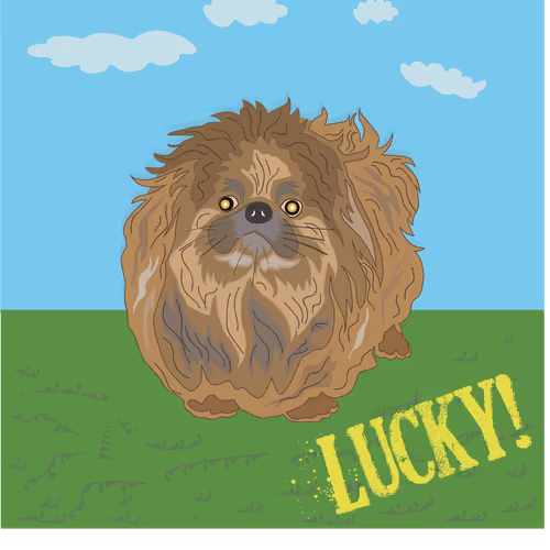 Royal Pekingese Lucky Pet Collection