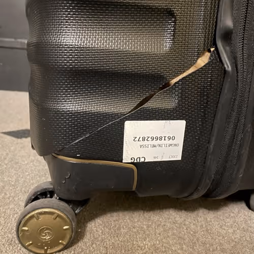 luggagezz