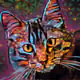 PetByte