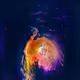 Luminous Galaxies